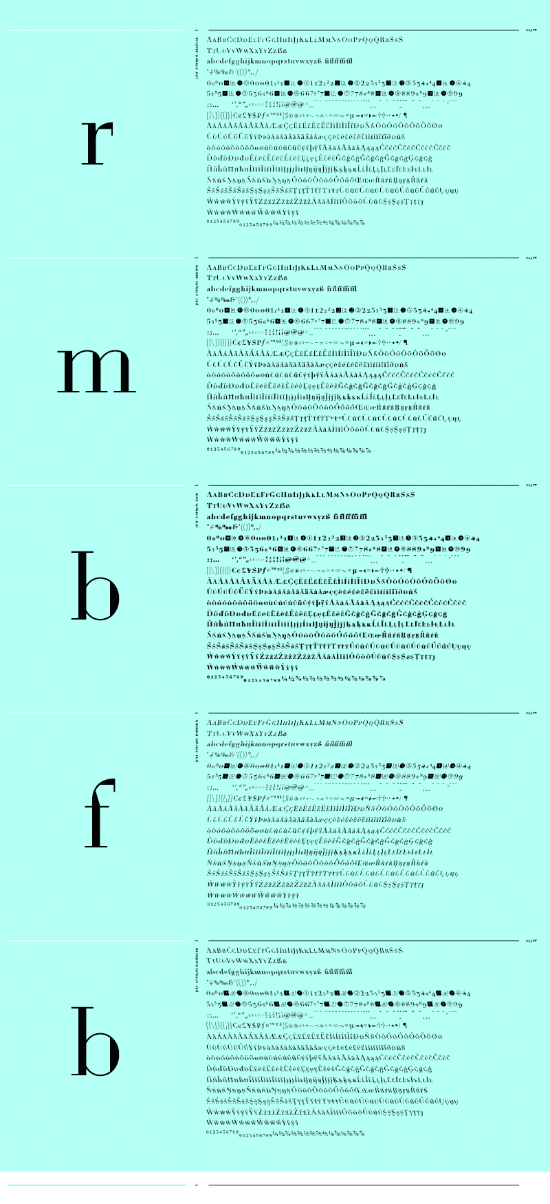 Juli Antiqua Type Typedesign Font Variable Font Glyphen Typografie Specimen Gestaltung Saarbruecken Saarland Grafikdesign Kommunikationsdesign Fonts in use